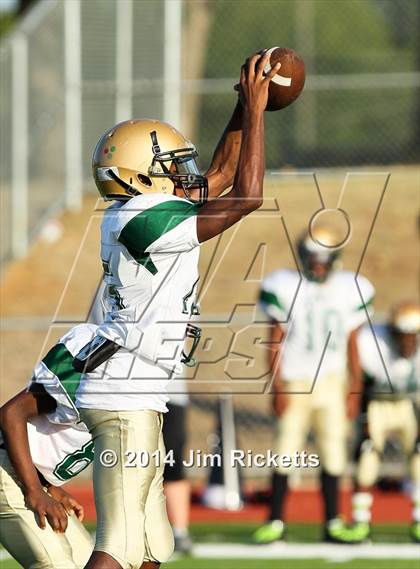 Thumbnail 3 in DeSoto @ Trinity photogallery.