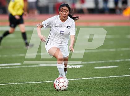 Thumbnail 1 in Chantilly @ Madison (Concorde District Final) photogallery.