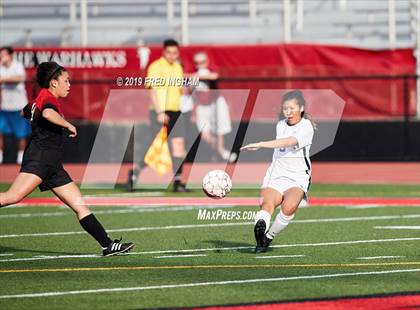 Thumbnail 1 in Chantilly @ Madison (Concorde District Final) photogallery.