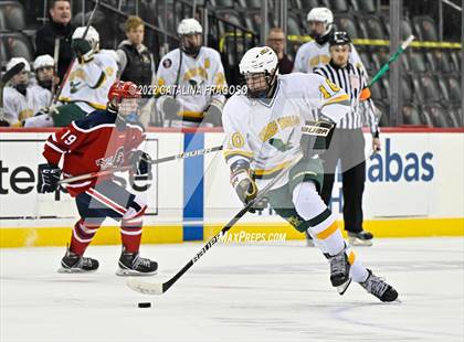 Thumbnail 1 in Morris Knolls vs. Governor Livingston (NJSIAA Public C State Final)  photogallery.