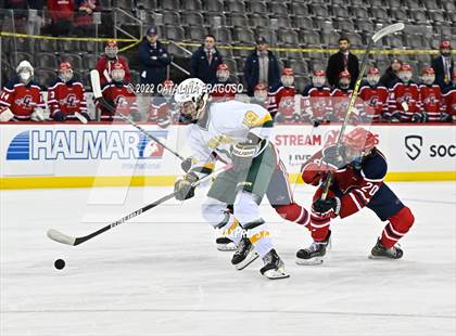 Thumbnail 3 in Morris Knolls vs. Governor Livingston (NJSIAA Public C State Final)  photogallery.