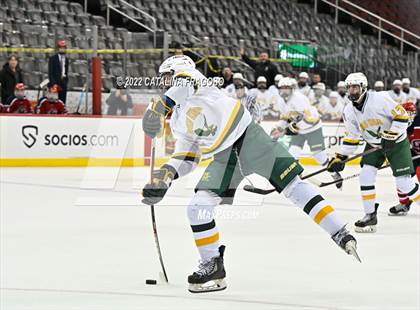 Thumbnail 3 in Morris Knolls vs. Governor Livingston (NJSIAA Public C State Final)  photogallery.