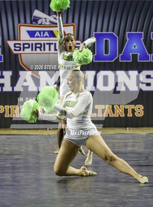 Spiritline Traditional Small Pom (AIA Championship)