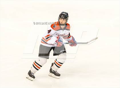 Thumbnail 3 in Canton vs. Wellesley (MIAA Division 2 Final) photogallery.