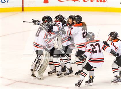 Thumbnail 3 in Canton vs. Wellesley (MIAA Division 2 Final) photogallery.