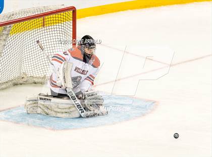 Thumbnail 2 in Canton vs. Wellesley (MIAA Division 2 Final) photogallery.