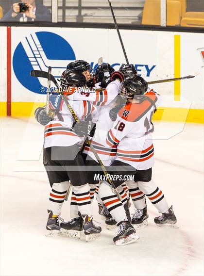 Thumbnail 1 in Canton vs. Wellesley (MIAA Division 2 Final) photogallery.