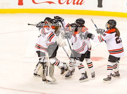 Thumbnail 1 in Canton vs. Wellesley (MIAA Division 2 Final) photogallery.