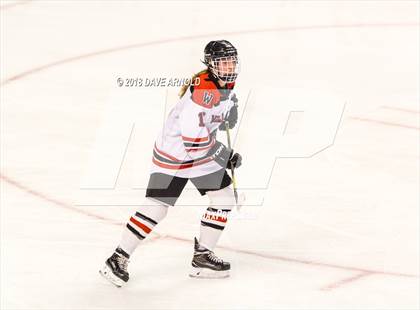 Thumbnail 1 in Canton vs. Wellesley (MIAA Division 2 Final) photogallery.