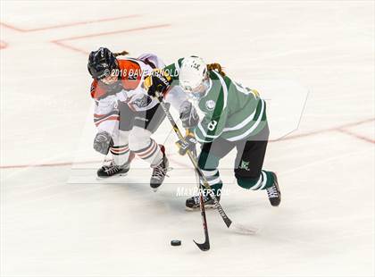 Thumbnail 3 in Canton vs. Wellesley (MIAA Division 2 Final) photogallery.