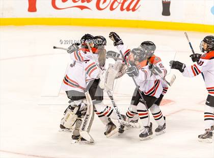 Thumbnail 3 in Canton vs. Wellesley (MIAA Division 2 Final) photogallery.