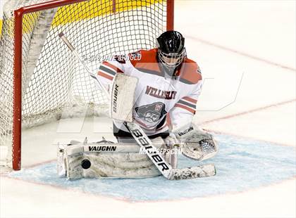 Thumbnail 1 in Canton vs. Wellesley (MIAA Division 2 Final) photogallery.