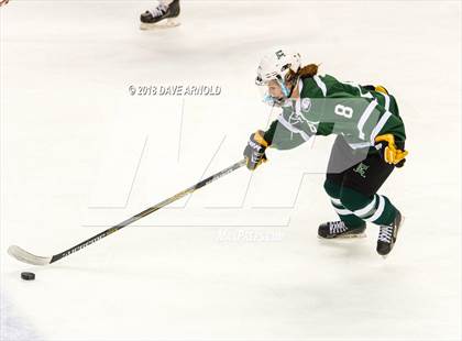 Thumbnail 3 in Canton vs. Wellesley (MIAA Division 2 Final) photogallery.