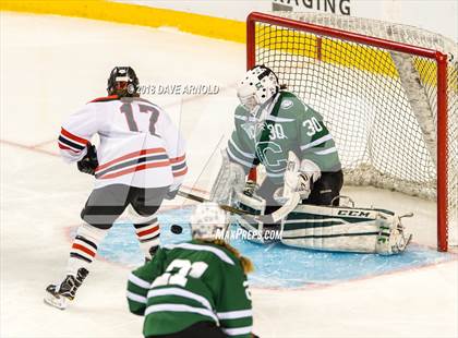 Thumbnail 1 in Canton vs. Wellesley (MIAA Division 2 Final) photogallery.