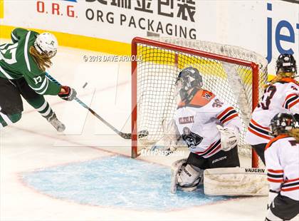 Thumbnail 2 in Canton vs. Wellesley (MIAA Division 2 Final) photogallery.