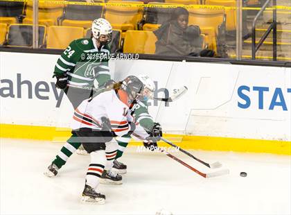 Thumbnail 2 in Canton vs. Wellesley (MIAA Division 2 Final) photogallery.