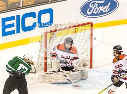 Thumbnail 1 in Canton vs. Wellesley (MIAA Division 2 Final) photogallery.