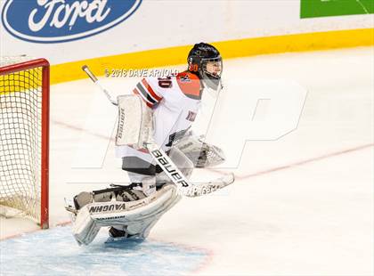 Thumbnail 1 in Canton vs. Wellesley (MIAA Division 2 Final) photogallery.