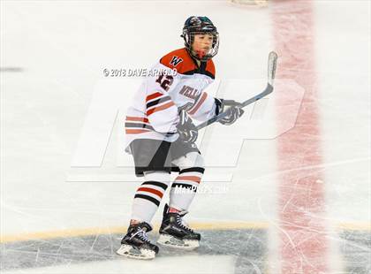 Thumbnail 1 in Canton vs. Wellesley (MIAA Division 2 Final) photogallery.