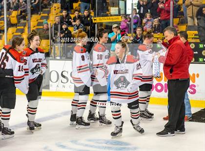 Thumbnail 2 in Canton vs. Wellesley (MIAA Division 2 Final) photogallery.