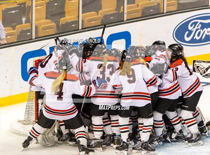 Thumbnail 3 in Canton vs. Wellesley (MIAA Division 2 Final) photogallery.