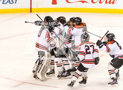 Thumbnail 1 in Canton vs. Wellesley (MIAA Division 2 Final) photogallery.