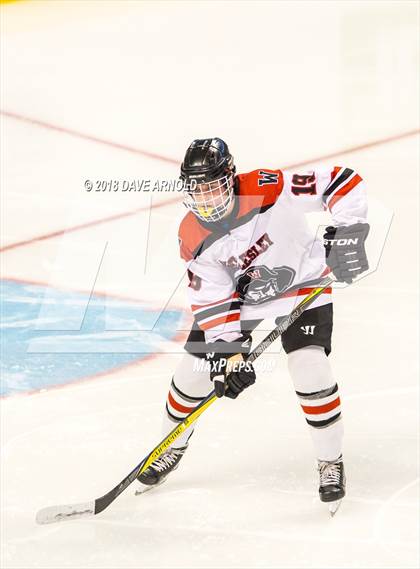Thumbnail 3 in Canton vs. Wellesley (MIAA Division 2 Final) photogallery.