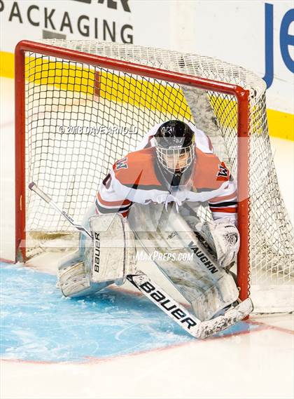 Thumbnail 2 in Canton vs. Wellesley (MIAA Division 2 Final) photogallery.