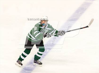 Thumbnail 1 in Canton vs. Wellesley (MIAA Division 2 Final) photogallery.