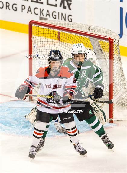 Thumbnail 2 in Canton vs. Wellesley (MIAA Division 2 Final) photogallery.