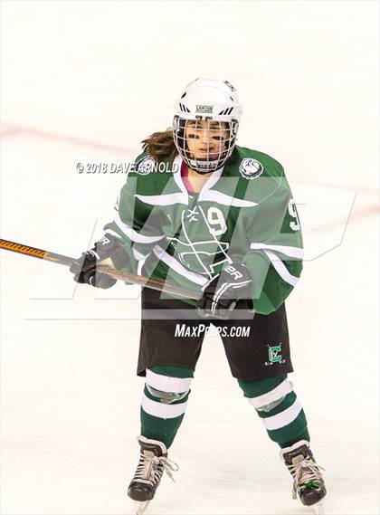 Thumbnail 3 in Canton vs. Wellesley (MIAA Division 2 Final) photogallery.