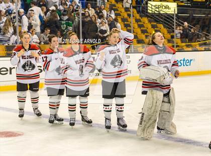 Thumbnail 1 in Canton vs. Wellesley (MIAA Division 2 Final) photogallery.
