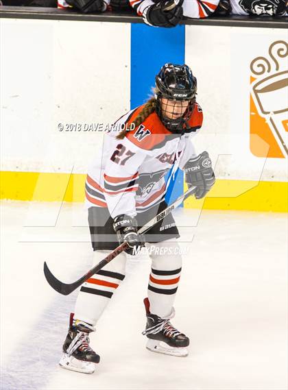 Thumbnail 3 in Canton vs. Wellesley (MIAA Division 2 Final) photogallery.