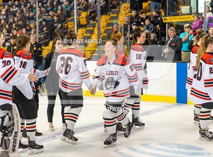 Thumbnail 1 in Canton vs. Wellesley (MIAA Division 2 Final) photogallery.