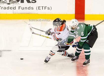 Thumbnail 3 in Canton vs. Wellesley (MIAA Division 2 Final) photogallery.