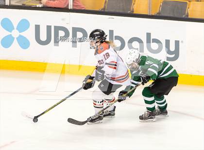 Thumbnail 1 in Canton vs. Wellesley (MIAA Division 2 Final) photogallery.