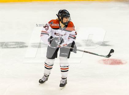 Thumbnail 2 in Canton vs. Wellesley (MIAA Division 2 Final) photogallery.