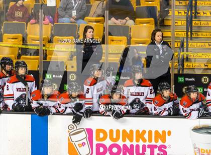 Thumbnail 1 in Canton vs. Wellesley (MIAA Division 2 Final) photogallery.