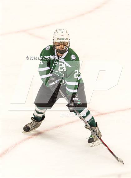 Thumbnail 2 in Canton vs. Wellesley (MIAA Division 2 Final) photogallery.