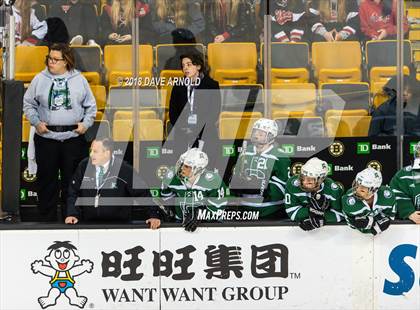 Thumbnail 1 in Canton vs. Wellesley (MIAA Division 2 Final) photogallery.