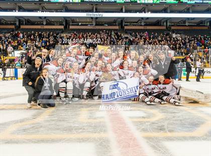 Thumbnail 3 in Canton vs. Wellesley (MIAA Division 2 Final) photogallery.