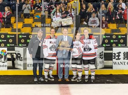 Thumbnail 2 in Canton vs. Wellesley (MIAA Division 2 Final) photogallery.