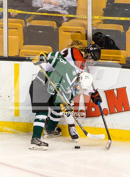 Thumbnail 1 in Canton vs. Wellesley (MIAA Division 2 Final) photogallery.