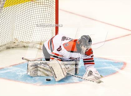 Thumbnail 2 in Canton vs. Wellesley (MIAA Division 2 Final) photogallery.
