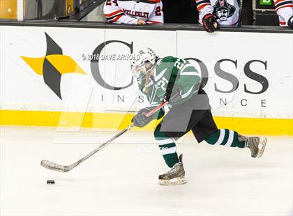 Thumbnail 3 in Canton vs. Wellesley (MIAA Division 2 Final) photogallery.
