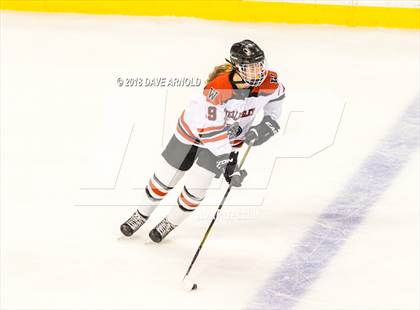 Thumbnail 1 in Canton vs. Wellesley (MIAA Division 2 Final) photogallery.
