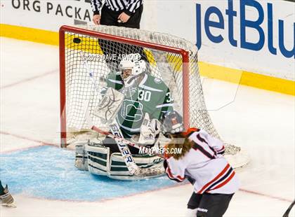 Thumbnail 1 in Canton vs. Wellesley (MIAA Division 2 Final) photogallery.