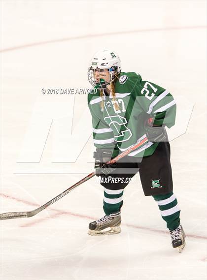 Thumbnail 1 in Canton vs. Wellesley (MIAA Division 2 Final) photogallery.