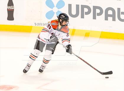 Thumbnail 2 in Canton vs. Wellesley (MIAA Division 2 Final) photogallery.