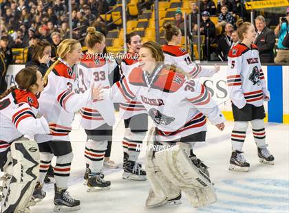 Thumbnail 3 in Canton vs. Wellesley (MIAA Division 2 Final) photogallery.